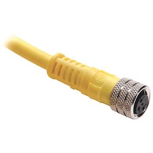Allen Bradley 889P-F3BBPM-2 Pico Cable