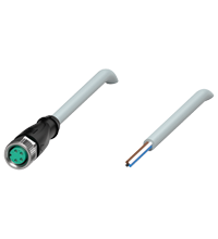 Pepperl+Fuchs V31-GM-2M-PUR Female cordset single-ended M8 straight A-coded, 4-pin, PUR cable grey