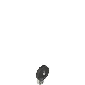Pizzato VN A00KB-R25 Adjustable straight metal revolving lever with technopolymer roller Ø 35 mm