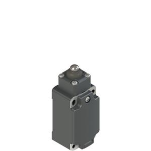 Pizzato FP 510-XM2 Position switch with long piston plunger Turkey