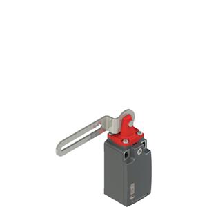Pizzato FR 5C3-M2 Safety switch with slotted hole lever Turkey