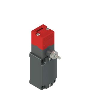 Pizzato FD 33R2-M2 Safety switch with manual mechanical delay Turkey