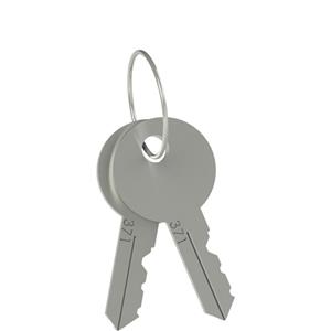 Pizzato VF KLB300 Set of two locking keys