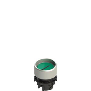Pizzato E2 1PU2P429L2 Spring-return green booted pushbutton with marking Turkey