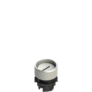 Pizzato E2 1PL2P229L2 Illuminated white booted pushbutton with marking