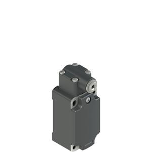 Pizzato FP 538-M2 Position switch for rotating levers Turkey
