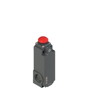 Pizzato FT 2A6314AH-E27 Safety switch with electrical reset Turkey