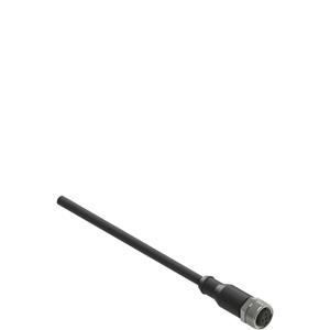 Pizzato VF CA5PD10M M12 female wired connector: straight, 5 poles, 10 m cable