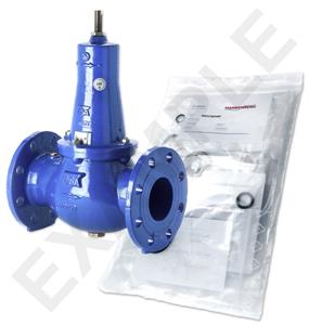 Mankenberg 6644121A WS Maintenance Kit for VRCD (DM 644) | DN 65 (2 1/2