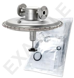 Mankenberg 6630190TA-25  WS Maintenance Kit WS/DM762F   1    *150TX,05N0,03FV |