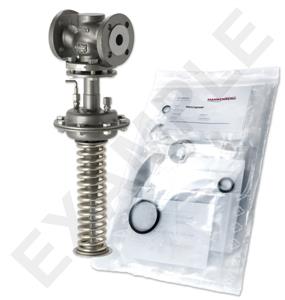 Mankenberg 65561586A-3   WS Maintenance Kit WS/DM613-80-FA22-40-D048-50-CS-EE-E77 |