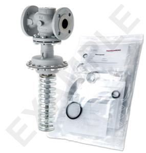 Mankenberg 65434709      WS Maintenance Kit WS/DM604   40    * 40ST 20E -10YS |