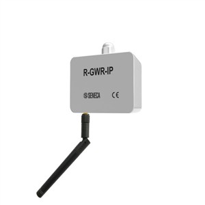Seneca R-GWR-IP Industrial sensor with digital / analog input Turkey