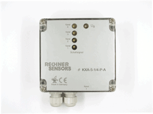 Rechner Sensors KXA-5-1/4-XXL-N-A-1-KL-Y90 Turkey