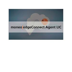 IFM moneo edgeConnect Agent LIC Licence for communication with the ifm Agent software Turkey