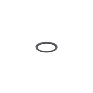IFM SEAL RING FFKM G1/2 Gasket