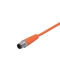 IFM ASTGH040VAS0010E04 Connecting cable with plug