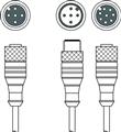 Leuze K-Y1 M12A-20m-M12A-S-PUR Interconnection cable