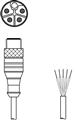 Leuze KD PL-M12-5A-P0-250-2.5 Connection cable