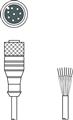 Leuze KD S-M12-8A-P1-050 Connection cable