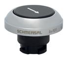 Schmersal EX-RDTSW/101D
