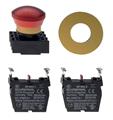 Schmersal EDRR40RT/2x303/GB