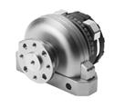 Festo DSRL-25-180-P-FW Semi-rotary drive