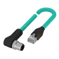 Balluff BCC M424-E894-8G-672-ES64N9-300 Double-ended cordsets