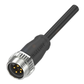 Balluff BCC A315-0000-20-063-PX05A5-060 Single-ended cordsets