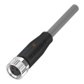 Balluff BCC M313-0000-10-001-PX8334-150-C003 Single-ended cordsets
