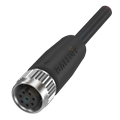 Balluff BCC M418-0000-1A-104-PS0825-020 Single-ended cordsets
