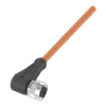 Balluff BCC M425-0000-1A-003-PW3434-020 Single-ended cordsets