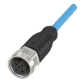 Balluff BCC M415-0000-1A-012-PX6234-100 Single-ended cordsets