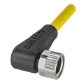 Balluff BCC M323-0000-10-001-PX4334-100-C003 Single-ended cordsets