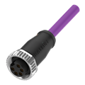 Balluff BCC A315-0000-10-067-PS75N6-020 Single-ended cordsets