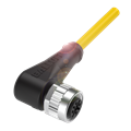 Balluff BCC M425-0000-1A-003-VX44T2-100-C013 Single-ended cordsets