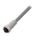 Balluff BCC A315-0000-10-030-VS85N4-060 Single-ended cordsets