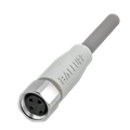 Balluff BCC S313-0000-10-001-PX8334-100-C002 Single-ended cordsets