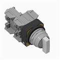 Allen Bradley 800T-24HW17KB6AD 800T PB