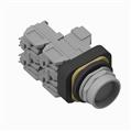 Allen Bradley 800TC-FXTQN25XA5 800T PB
