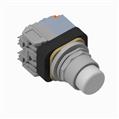 Allen Bradley 800TC-PB16WA2 800T PB