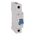 Allen Bradley 1492-SPM1B200 MCB Supplementary Protector 20 A