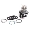 Allen Bradley 800T-QH2R 30mm Pilot Light 800T