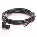 Allen Bradley 280-MTR22-M12 ArmorConnect Motor Cable