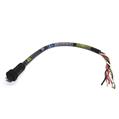 Allen Bradley 280-PWRM22E-M14 ArmorConnect 3-PH Power Media drop cable