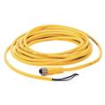 Allen Bradley 889DS-F4AC-5 DC Micro Cable