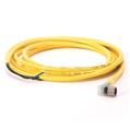 Allen Bradley 889P-P3AB-2 Pico Cable