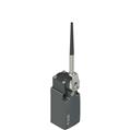 Pizzato FM 534-M2 Position switch, coiled spring lever with plastic point