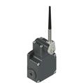 Pizzato FL 534-M2 Position switch, coiled spring lever with plastic point