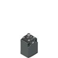 Pizzato FC 301-M2 Position switch with plunger